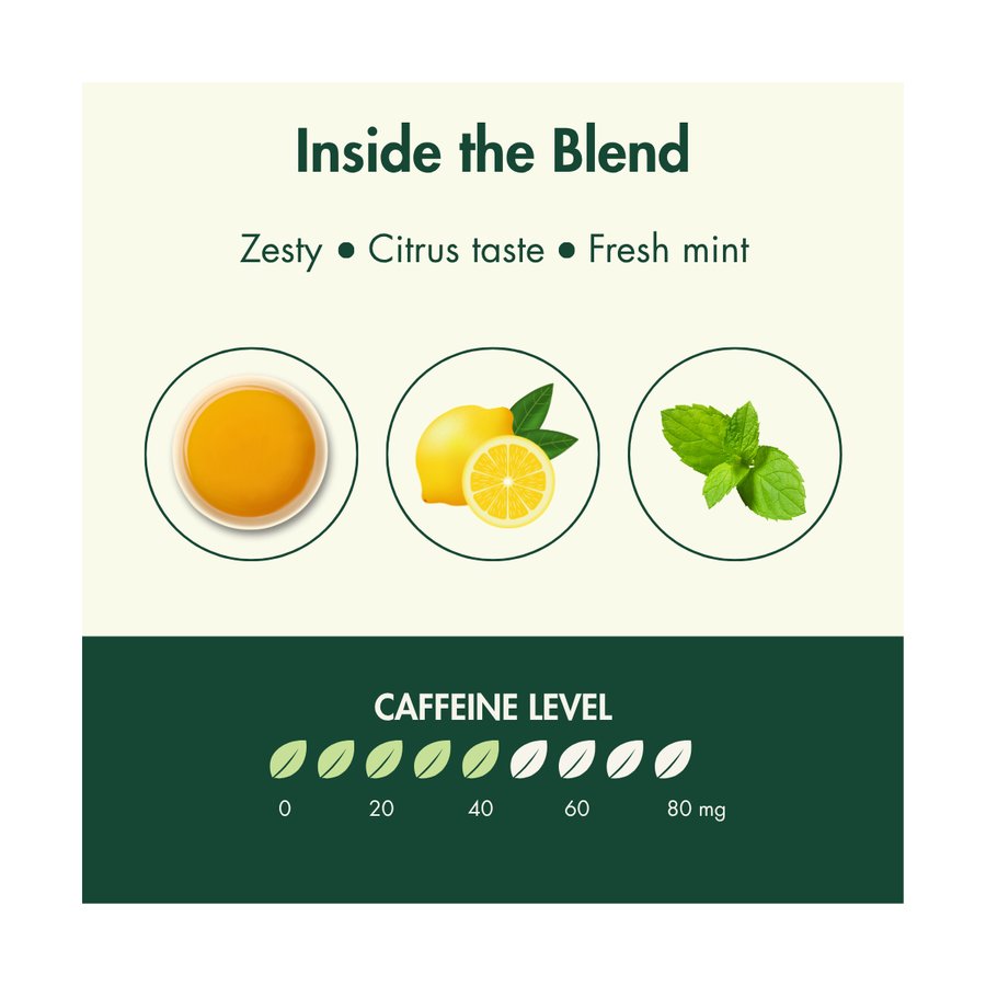 Lemon & Mint Cold Brew Iced Tea thumbnail 4